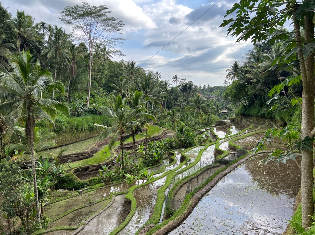 Bali